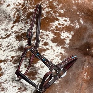 Brown Leather Horse Halter with Turquoise Accents